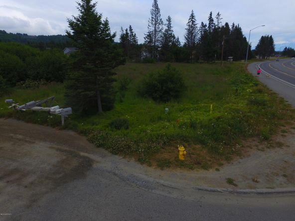 3658 Forest Glen Dr, Homer, AK 99603
